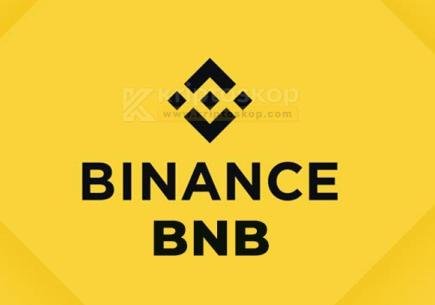 Binance Coin (BNB) Nedir? (Bilmeniz Gereken Her Şey 2024)