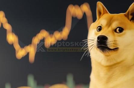 Dogecoin Fiyatı 24 Saat İçinde %6,5&#039;lik Düşüş Yaşadı