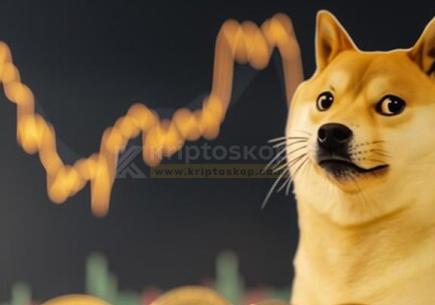 Dogecoin Fiyatı 24 Saat İçinde %6,5'lik Düşüş Yaşadı