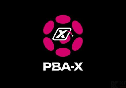 Web3 Eğitimi Kolaylaşıyor: Polkadot’un PBA-X Programı 🔥