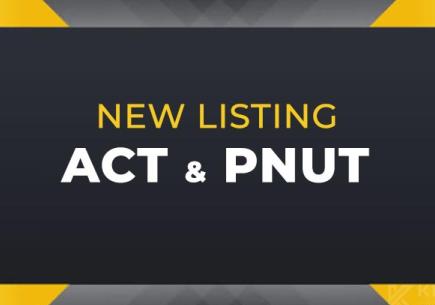 Binance 2 Yeni Meme Tokeni Listeliyor: ACT ve PNUT Token⚡