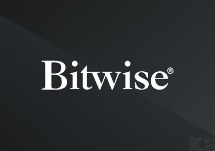 Kripto Yatırımlarında Yenilikçi Güç: Bitwise Nedir, Ne İş Yapar? ✔️