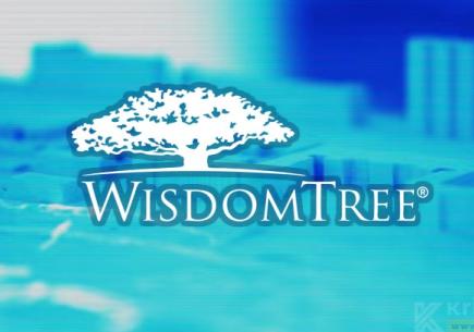 Yenilikçi Finansal Çözümler: WisdomTree Investments Nedir? ✔️