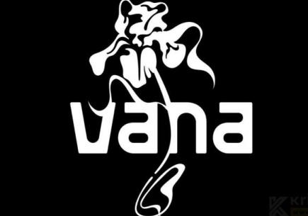 ✔️ Vana (VANA) Coin Geleceği, Fiyat Tahmini ve Yorum