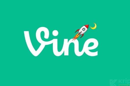 2025-30 ✔️ VINE Coin Geleceği, Fiyat Tahmini ve Yorum